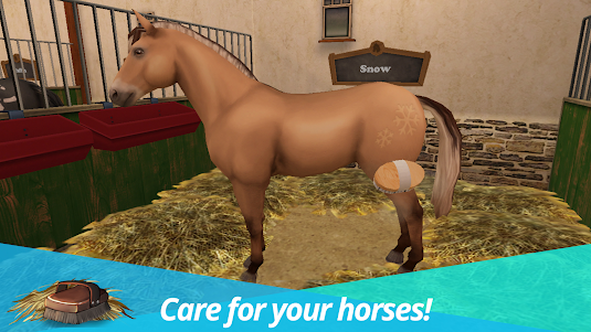 Horse World Premium 4.5 screenshot 26