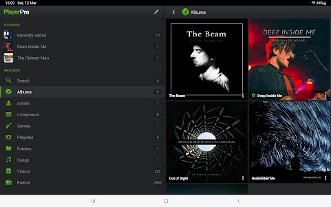 PlayerPro Music Player 5.35 screenshot 11