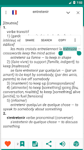 English-french dictionary 2.0.4.4 screenshot 4