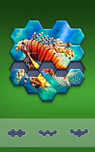Hexa Jigsaw Puzzle ® 106.01 screenshot 18
