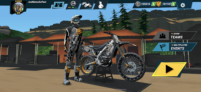 Mad Skills Motocross 3 2.2.5 screenshot 10