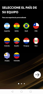 CONMEBOL Libertadores 3.0.9 screenshot 2