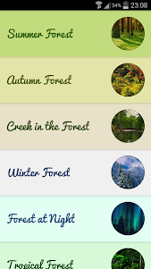 Forest Sounds - Nature & Sleep  screenshot 1