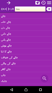 English Urdu Dictionary 2.113 screenshot 4