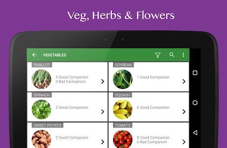 Vegetables Info+Care Reminders 3.53 screenshot 8
