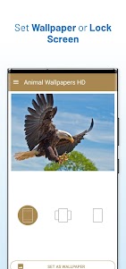 Animal Wallpaper HD 2.24 screenshot 9