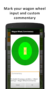 Chauka Cricket Scoring App 2.11 screenshot 4