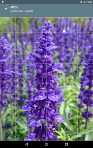 Jigsaw Puzzle: Flowers JPF-2.4.1 screenshot 10