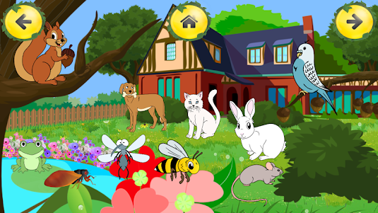 Animal Sounds Learn-Find Game 2.1 screenshot 6