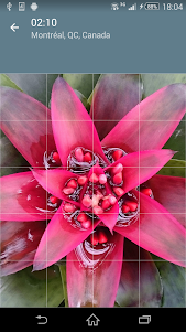 Jigsaw Puzzle: Flowers JPF-2.4.1 screenshot 4