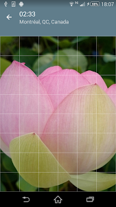 Jigsaw Puzzle: Flowers JPF-2.4.1 screenshot 8