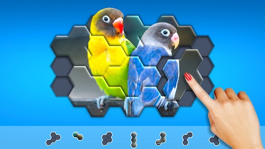 Hexa Jigsaw Puzzle ® 106.01 screenshot 6