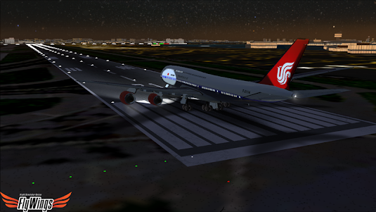Flight Simulator Night NY Free 1.0.1 screenshot 12