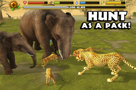 Cheetah Simulator  screenshot 2