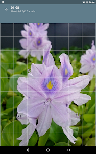 Jigsaw Puzzle: Flowers JPF-2.4.1 screenshot 11