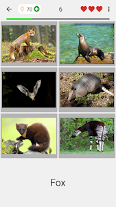 Animals Quiz Learn All Mammals 3.6.0 screenshot 7