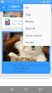 File Manager  screenshot 7