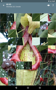 Jigsaw Puzzle: Flowers JPF-2.4.1 screenshot 15