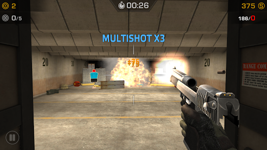 Range Shooter  screenshot 4