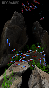 Nano Aquarium 1.3 screenshot 7