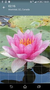 Jigsaw Puzzle: Flowers JPF-2.4.1 screenshot 2