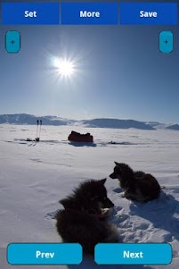 Life at Arctic 1.5.0 screenshot 7