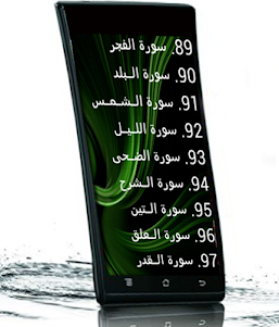 Ali Thabet Holy Coran (MP3) 2.0 screenshot 9