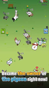 Pigeon Raising 3.0.43 screenshot 3