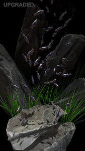 Nano Aquarium 1.3 screenshot 21