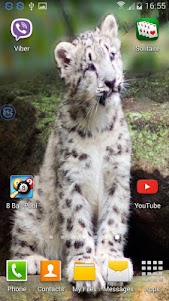 Leopards SHAKE and Change LWP 1.00 screenshot 4