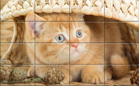 Tile Puzzle Cats 1.47 screenshot 5