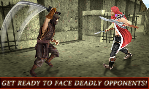 Ninja Warrior Assassin 3D  screenshot 5