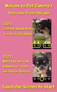 Pet Camera    for dogs & cats 1.7 screenshot 4