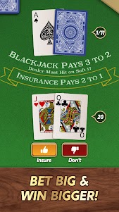 Blackjack 2.01.00 screenshot 16