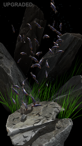Nano Aquarium 1.3 screenshot 15