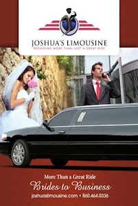 Joshuas Limousine 2.0 screenshot 1
