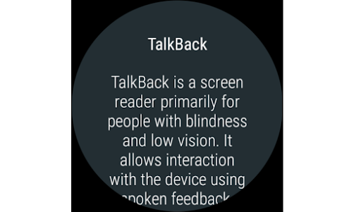Google TalkBack  screenshot 5