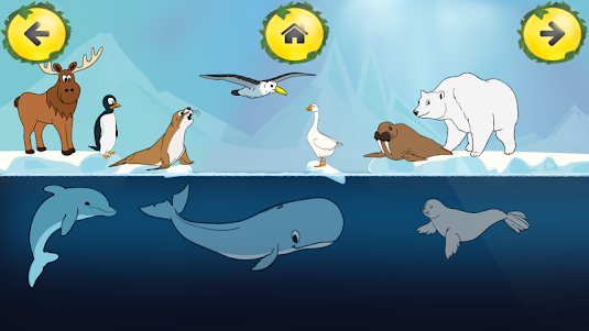 Animal Sounds Learn-Find Game 2.1 screenshot 4