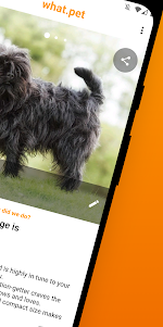 What.pet: Dog & Cat Breed ID,  0.5.0 screenshot 2