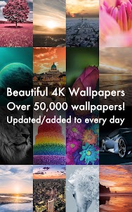 Beautiful 4K/HDR Wallpapers 1.9.6 screenshot 6