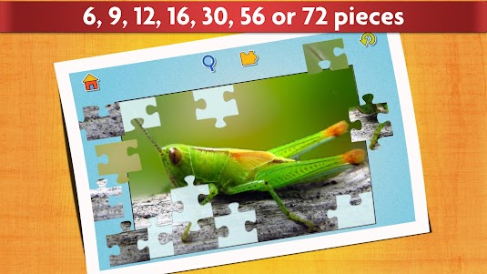Insect Jigsaw Puzzle Game Kids 32.0 screenshot 3