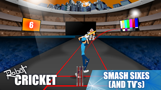 Robot Cricket  screenshot 4