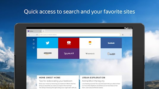 Yandex Browser (beta) 24.1.3.80 screenshot 6