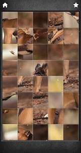Cute Dogs Jigsaw Puzzles 0.0.2 screenshot 4