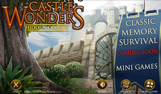 Castle Wonders 1.0.48 screenshot 1