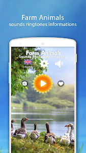 Farm Animal Sounds 8.1 screenshot 1