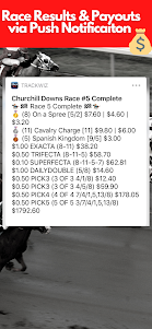 TrackWiz Horse Racing Picks 1.30 screenshot 16