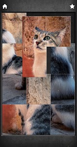 Cat purr therapy jigsaw puzzle 1.0.11 screenshot 6