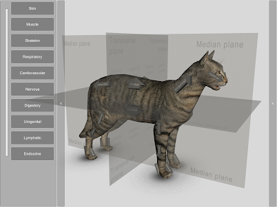 3D Cat Anatomy 2.01c screenshot 9