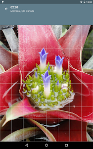 Jigsaw Puzzle: Flowers JPF-2.4.1 screenshot 12